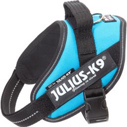 Hundsele Julius K9 i färgen akvamarin